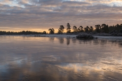 Icy Pond, New Forest